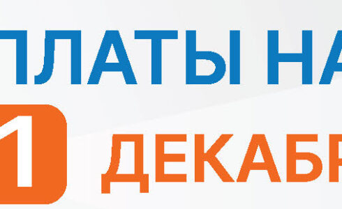 Срок уплаты налогов — 1 декабря!